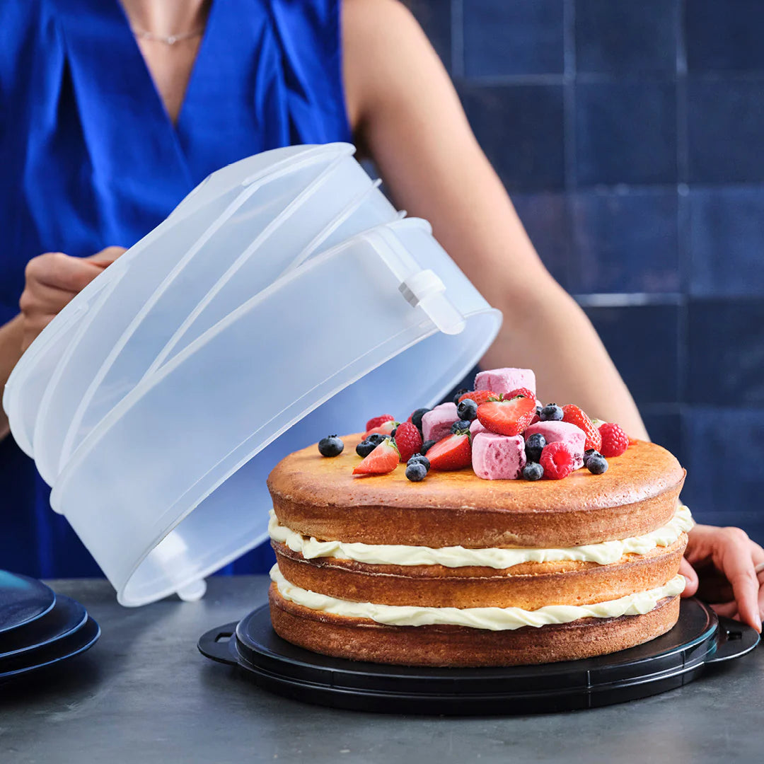 EXPANDABLE CAKE TAKER