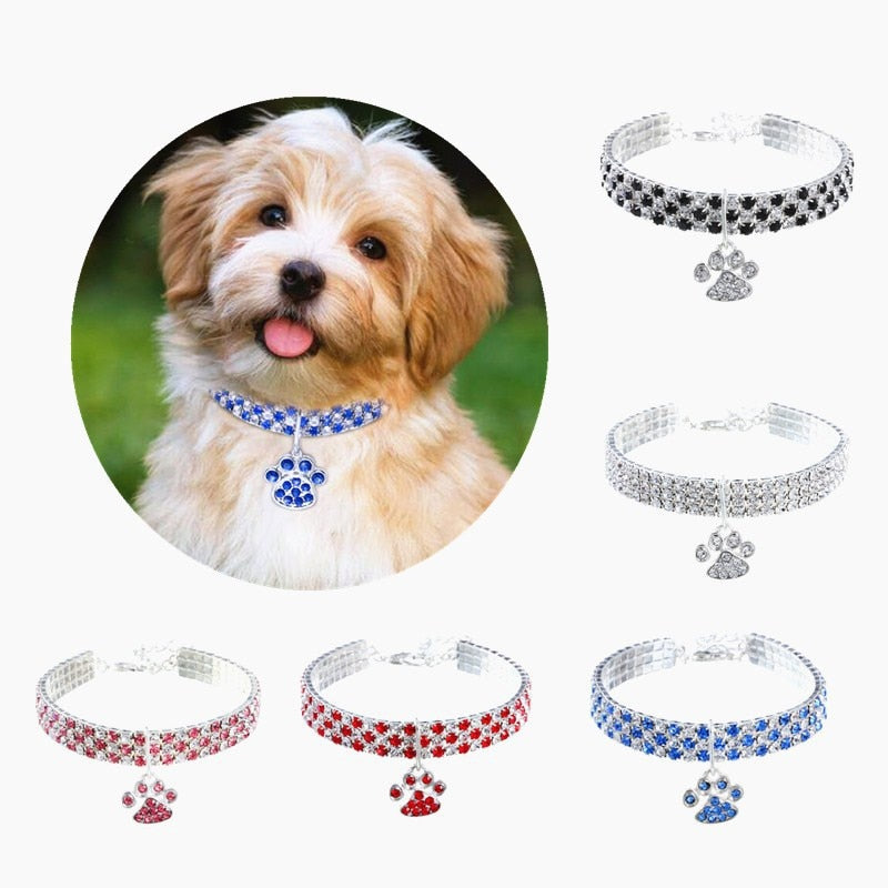 Footprints Dog Cat Jewelry Collar