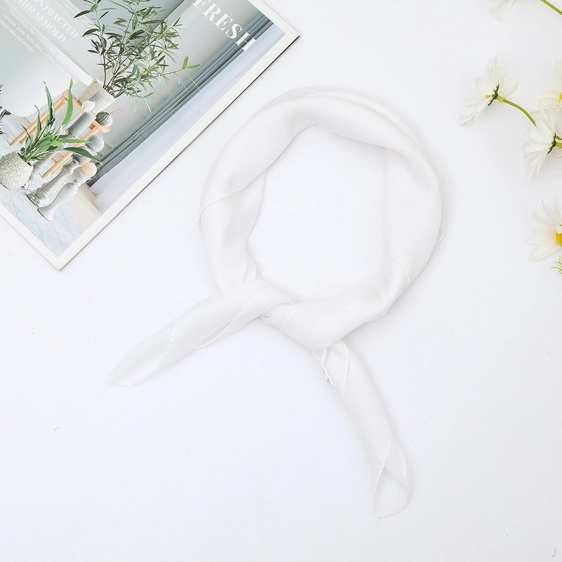 Women's Minimalist Classic Style Solid Color Chiffon Silk Scarf