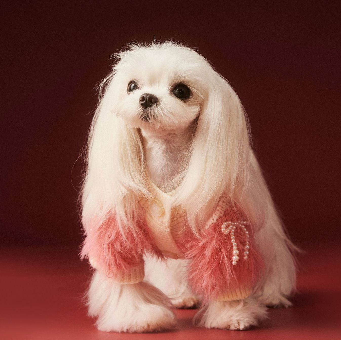 Pearl Bowknot Fringed Knitted Dog Cat Cardigan