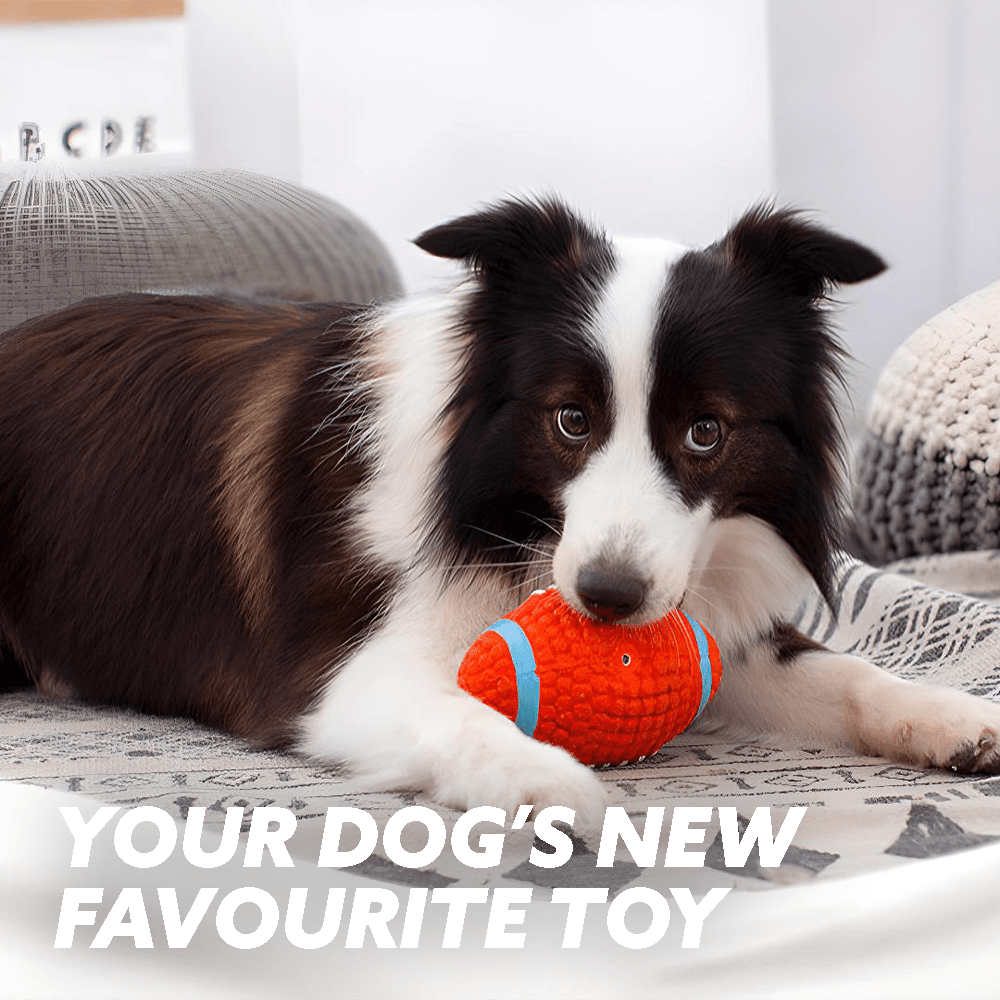 🐶🔥Toy for Aggressive Chewers