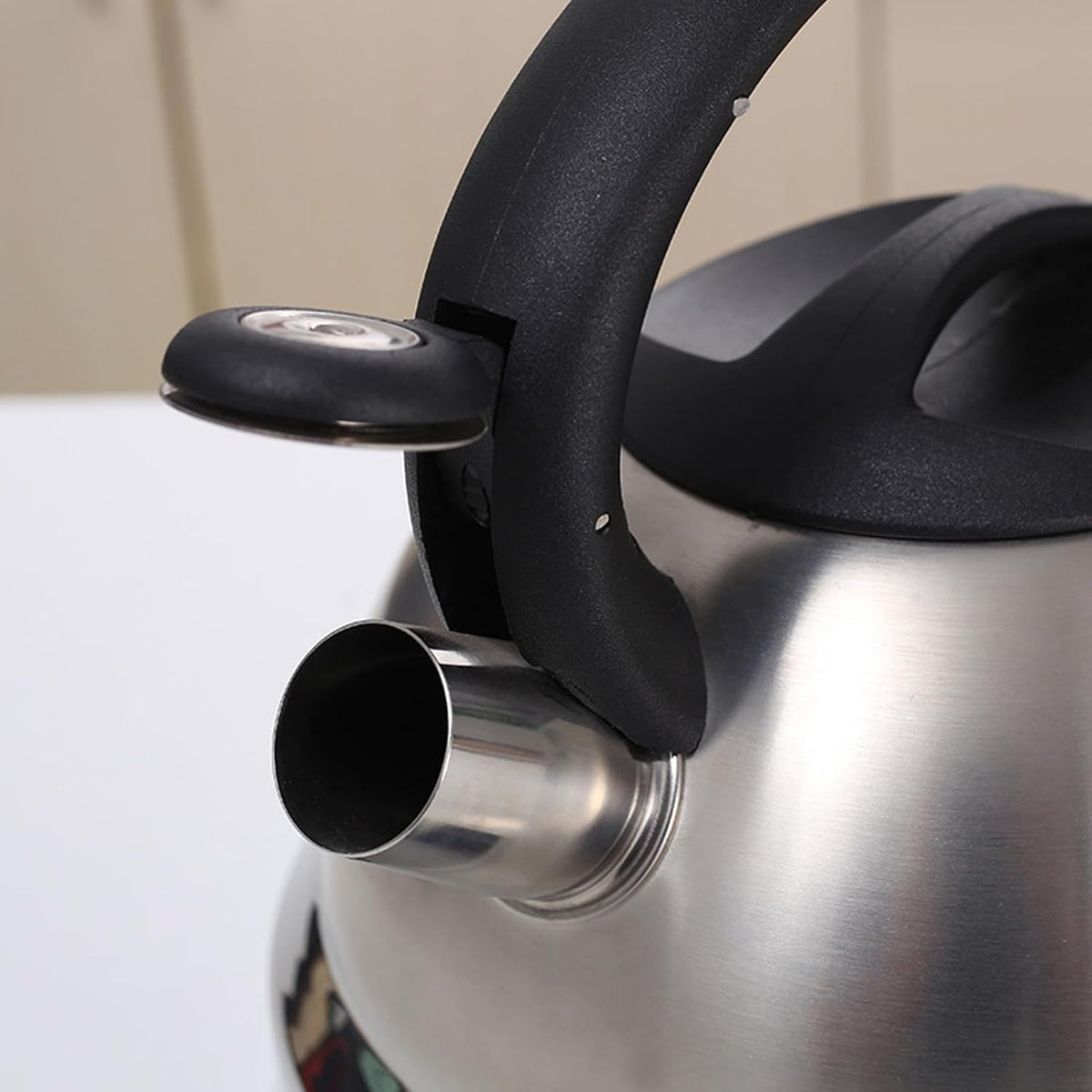 5 LTR STAINLESS STEEL WHISTLING KETTLE