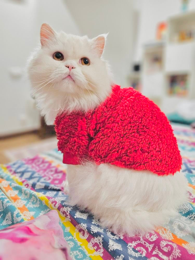 Cozy Pet Sweater -Red  🌺