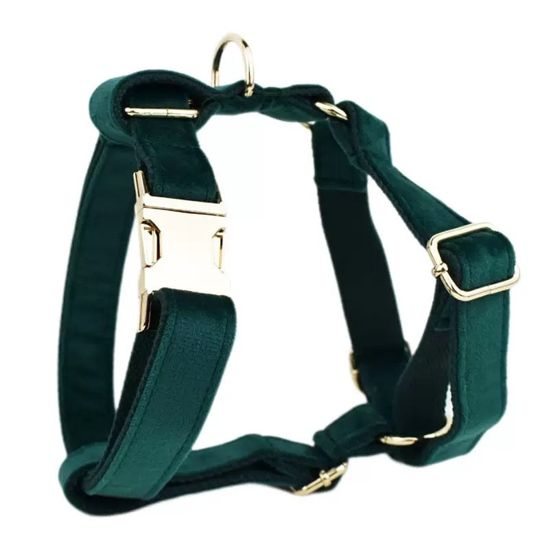 Velvet Personalized Dog Harness Collar Leash