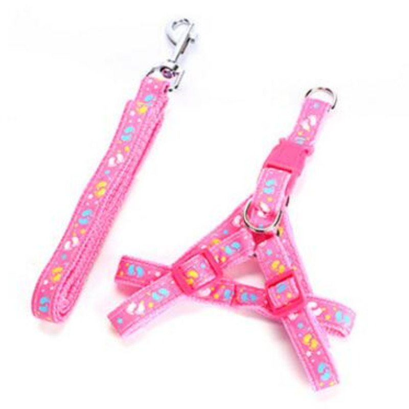 Stylish Dog Harness And Leash Set