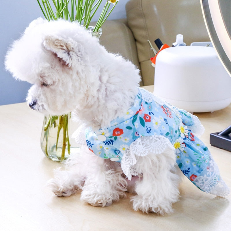 Floral Lace Design Dog Cat Dress