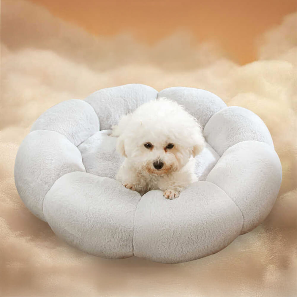 Flower Warmth Full Support Washable Decoration Dog & Cat Bed