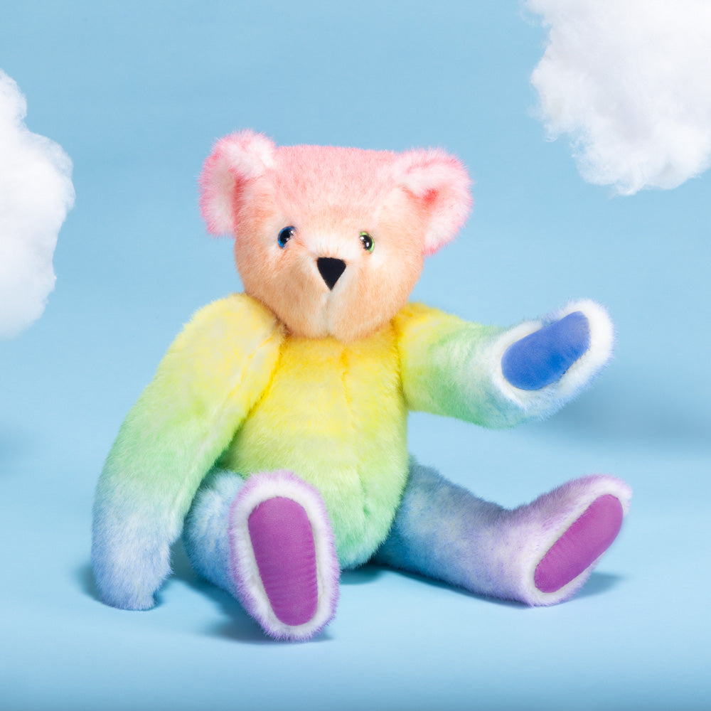15 In. Special Edition Rainbow Bear