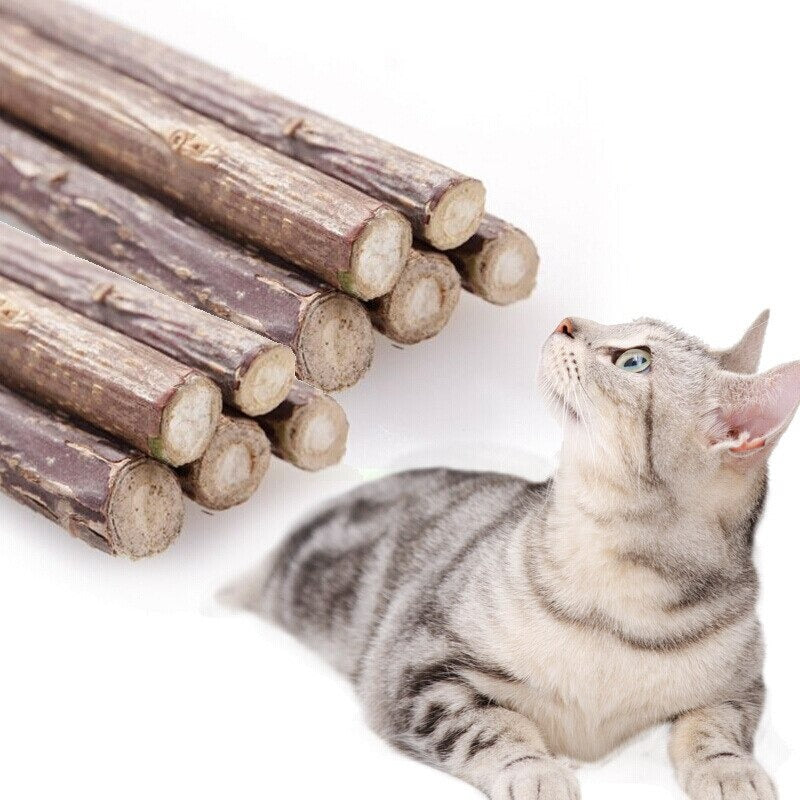 Natural Catnip Toy