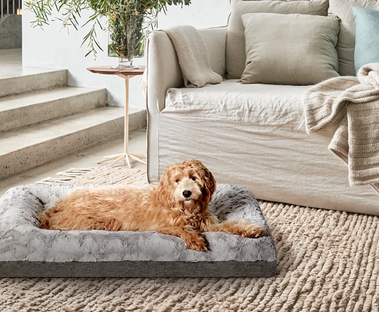 Snooza – Ultra Comfort Dog Lounge