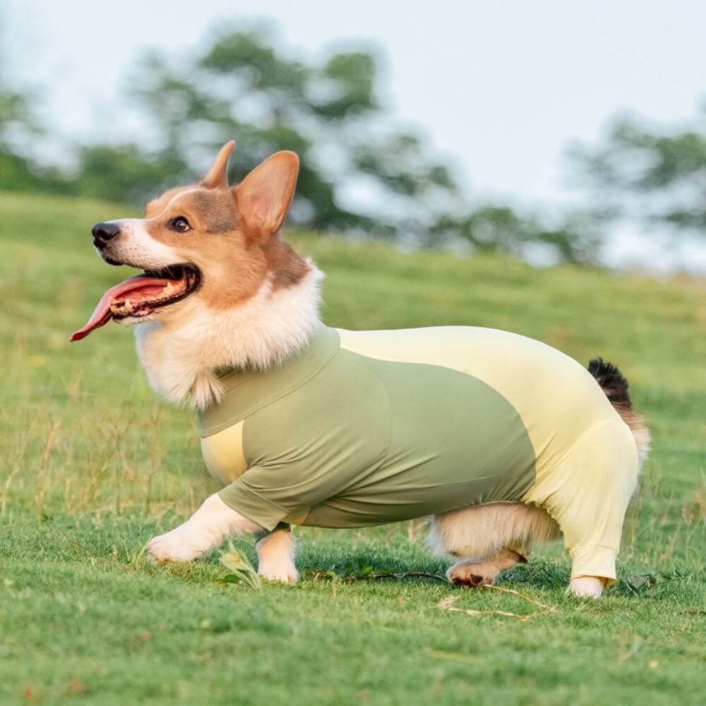 Extra Large Stretch Sunblock Dog Onesie Cooling Dog Clothes