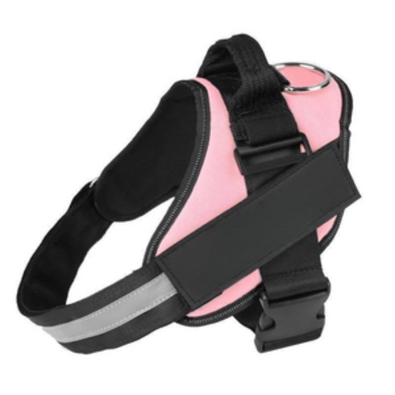 Personalised No Pull Dog Harness