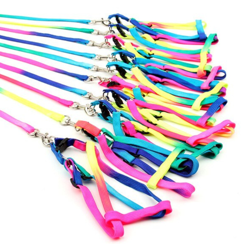 Small Pet Dog Multicolor Leash