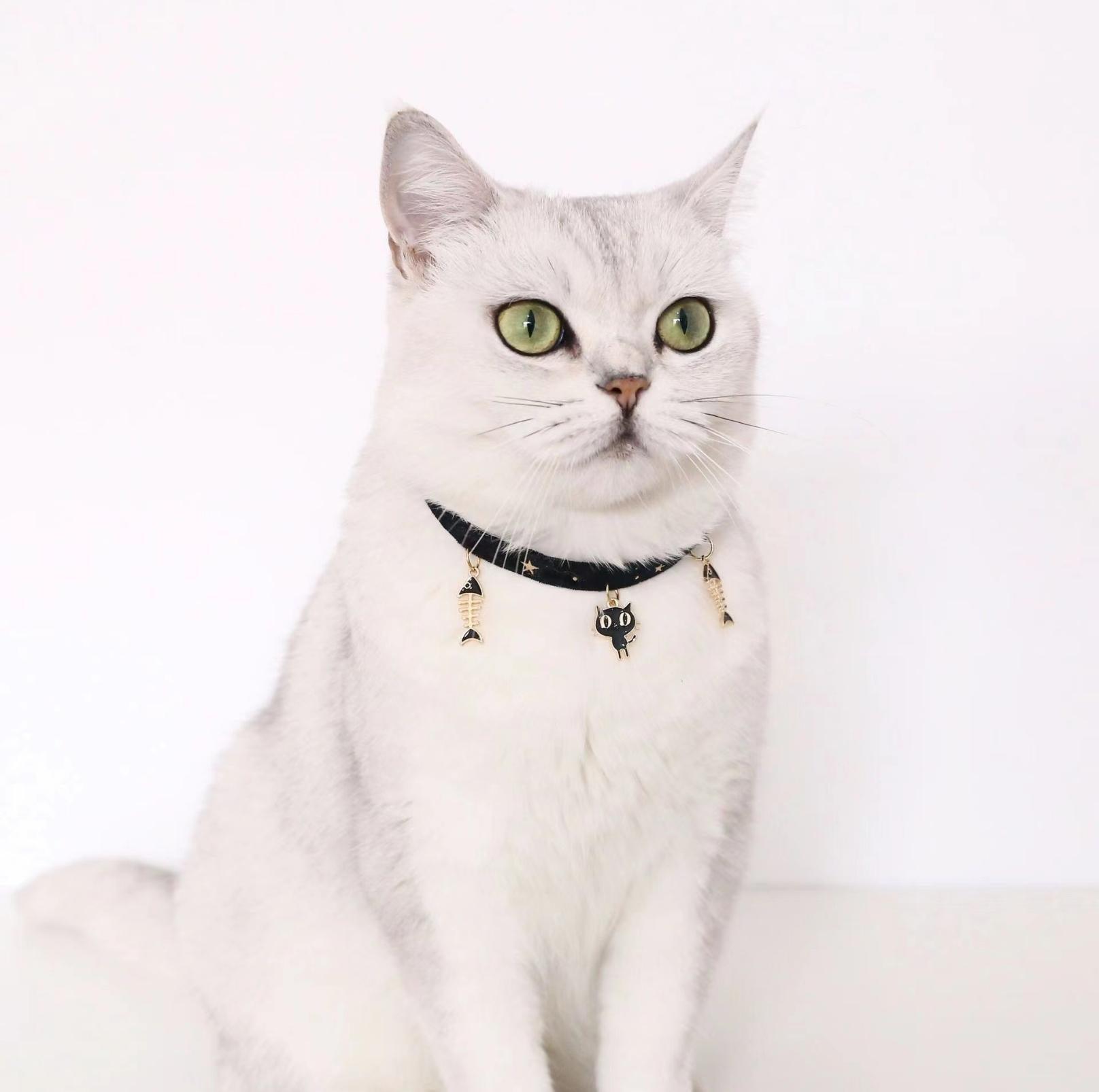 Velvet Adjustable Pet Collar With Bronzing Pendants