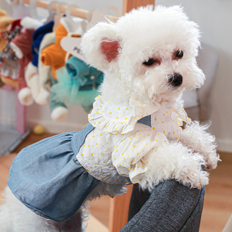 Polka Dot Bear Printed Puppy Dress