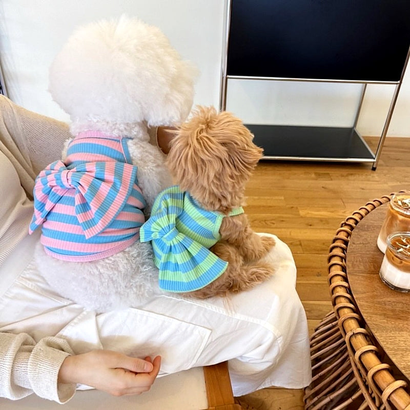Striped Big Bow Sweet Dog Cat Vest