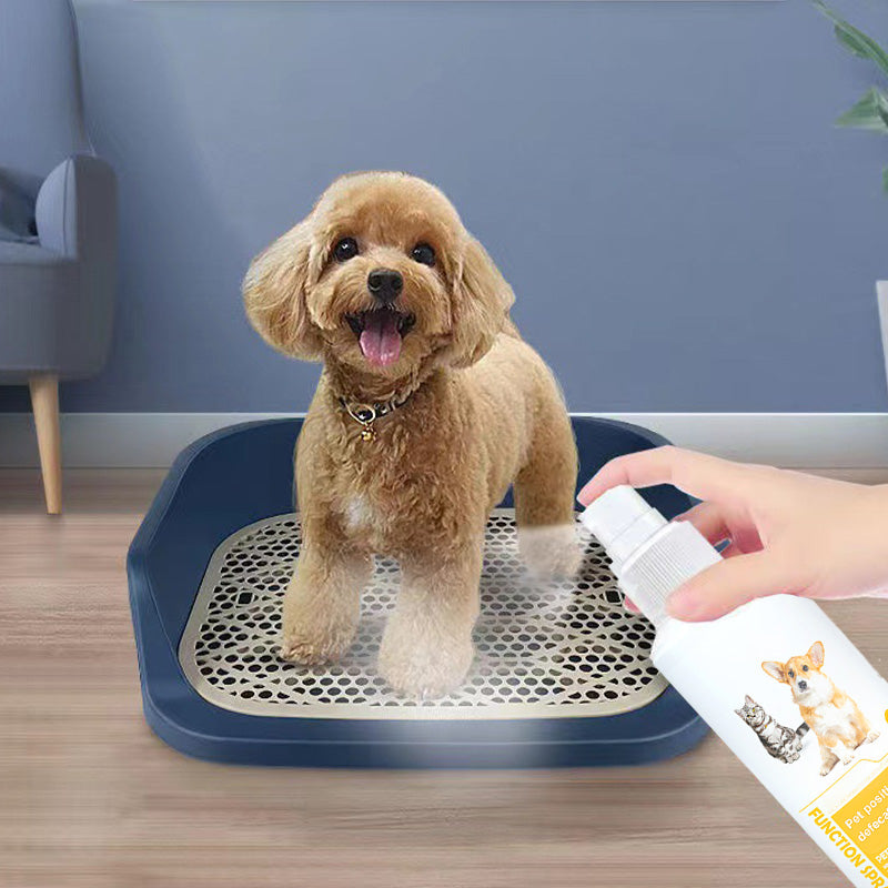 Pet Potty Here Training Spray