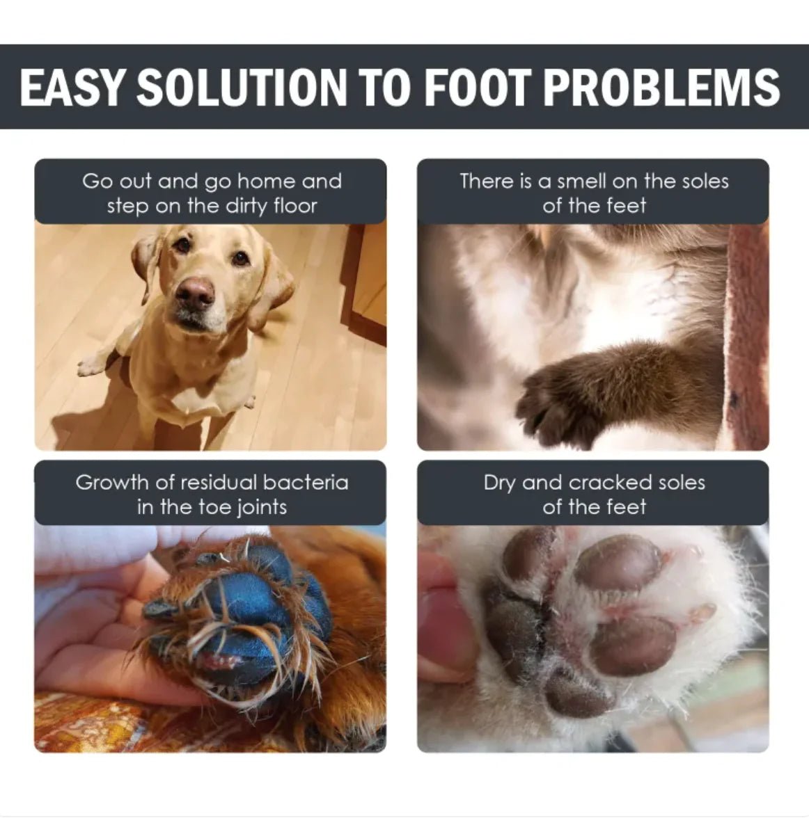 Paw Cleaner For Dogs