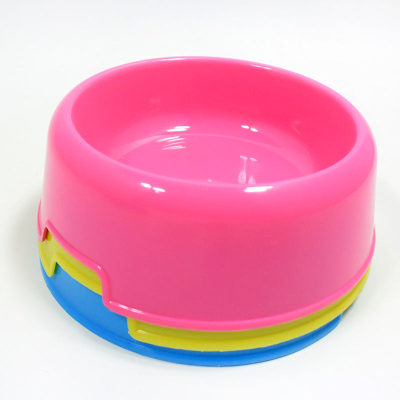 Dog Bowl For Food