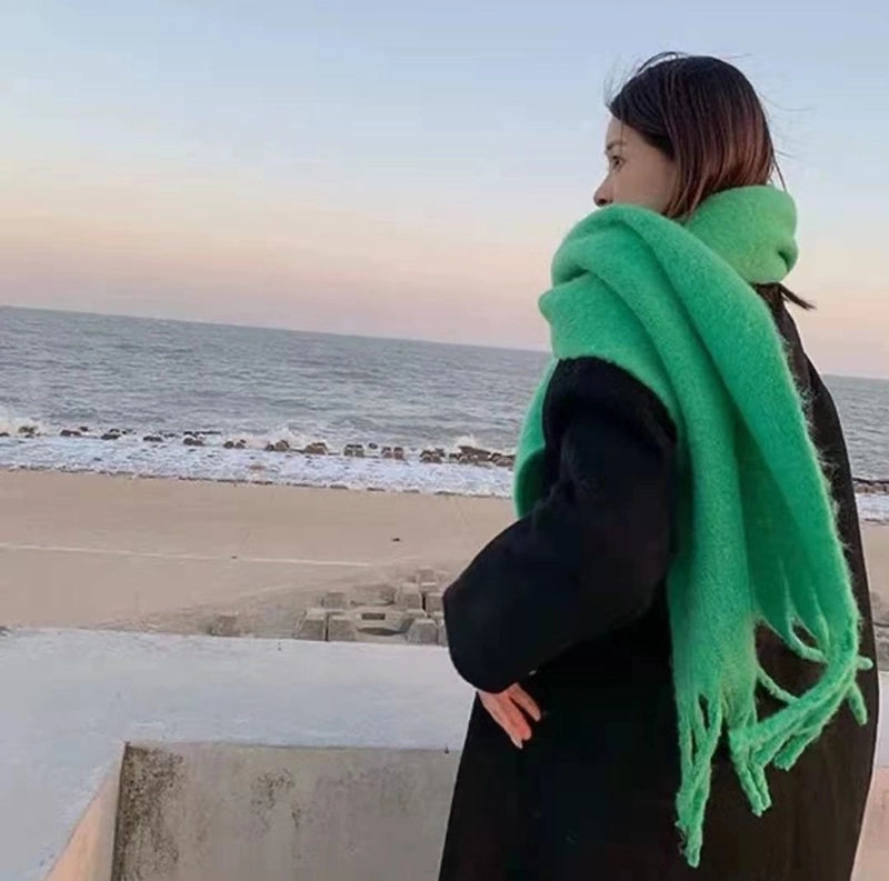 Women's Minimalist Classic Style Solid Color Imitation Cashmere Scarf
