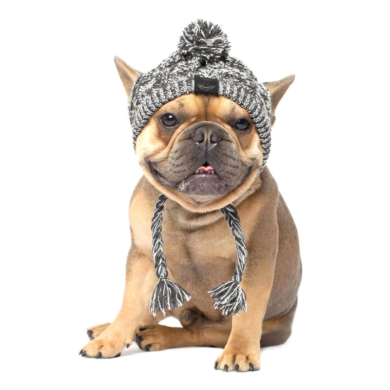 Winter Pet Dog Hat