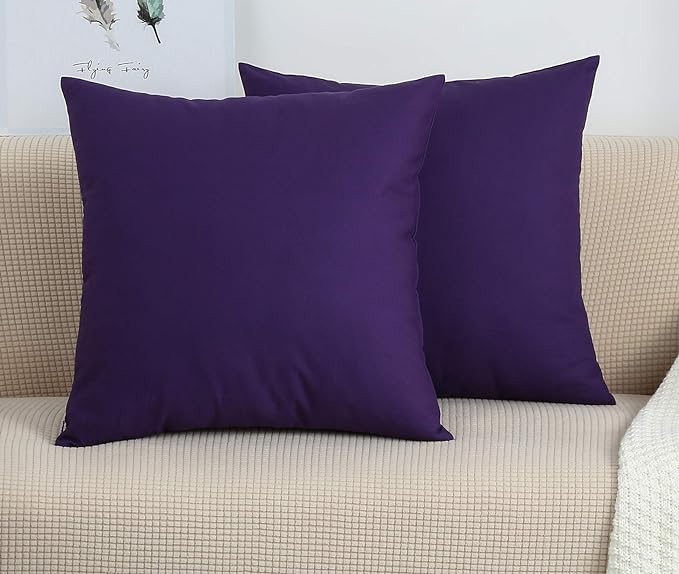 Plum-Cushion Covers Pack of Two
