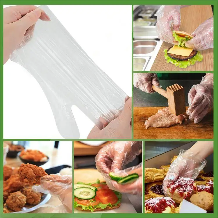 Household kitchen Food Compostable Transparent Customized Individually Packed PE Plastic Disposable Gloves