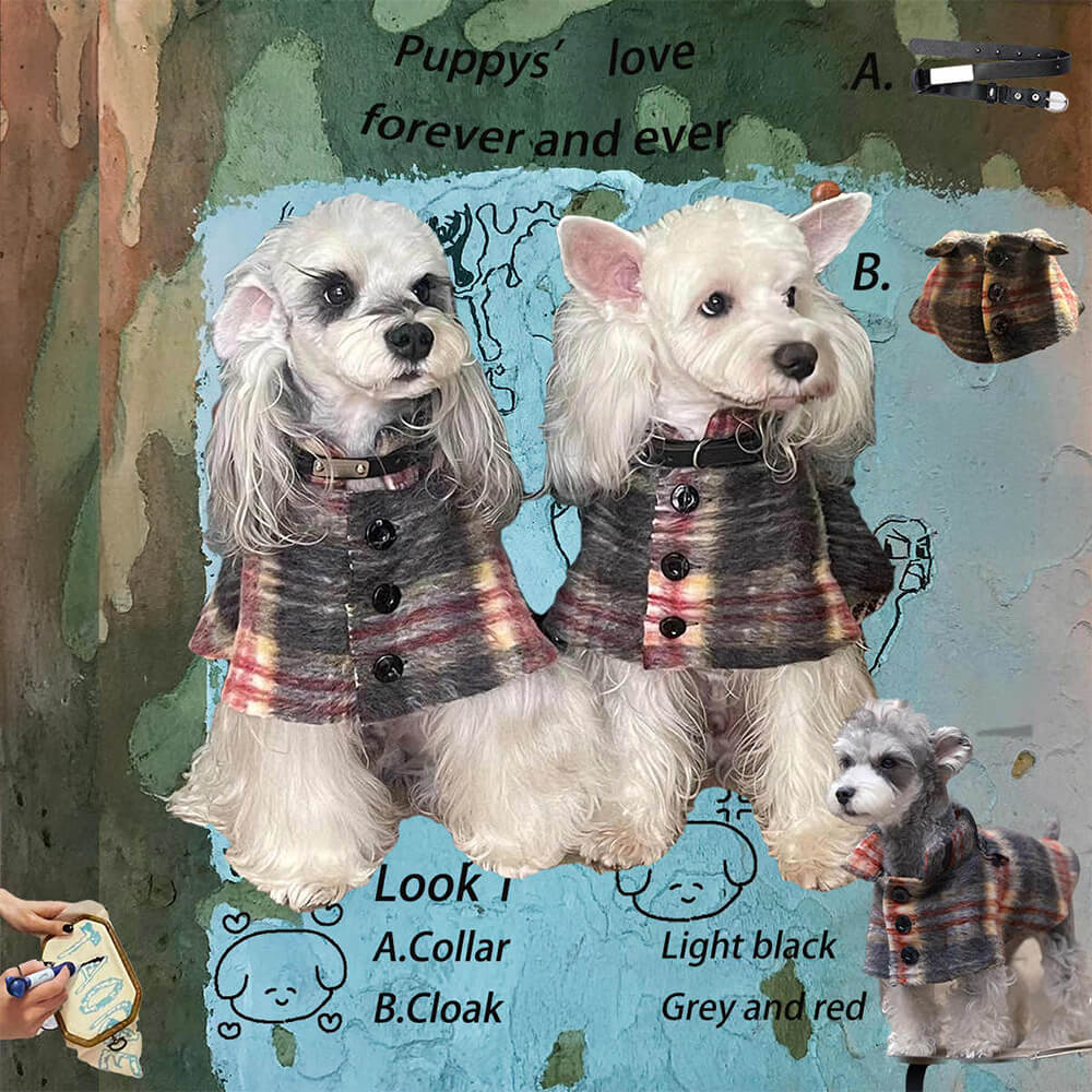 Vintage Plaid Wool With Refined Leather Collar & Button Dog Cape