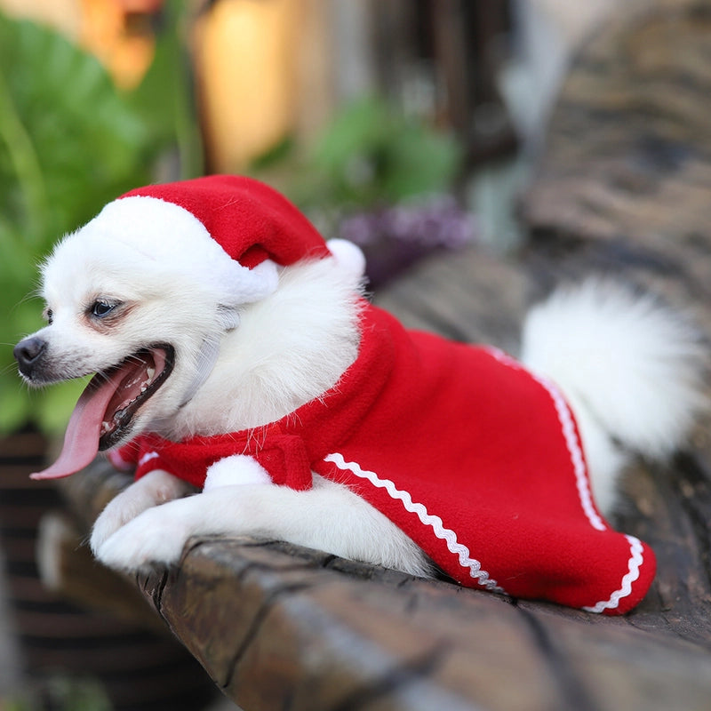 Vacation Christmas Solid Color Pet Clothing