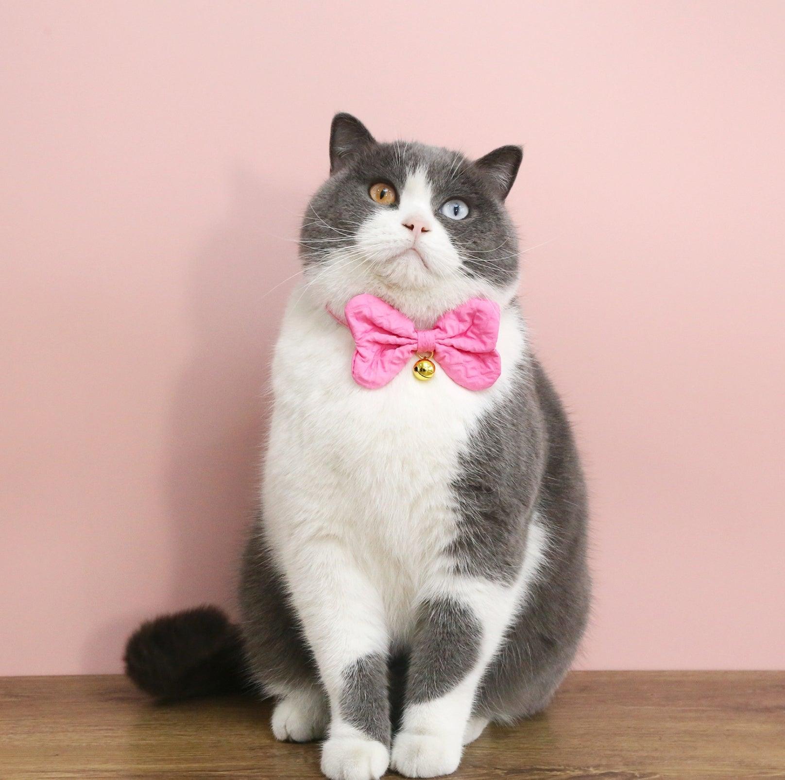 Candy-Colored Denim Bowtie Adjustable Pet Collar