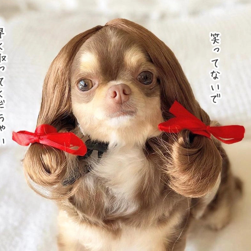 Hip-Hop Funny Novelty Polyester Solid Color Pet Tire