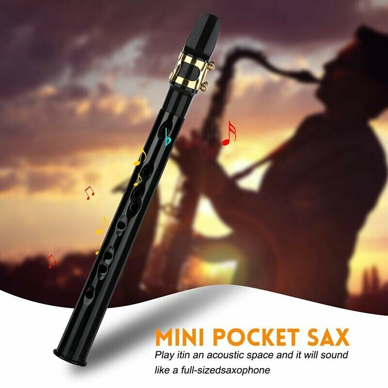 Only one-time sale throughout the year Sale- Mini Pocket Sax