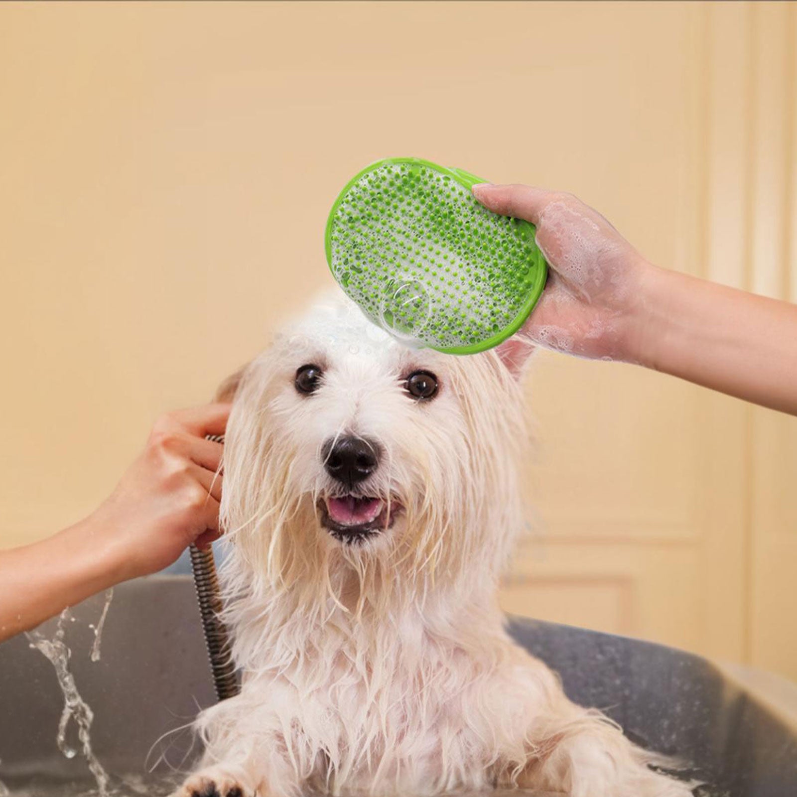 A Pair Of Cat Grooming Brushes