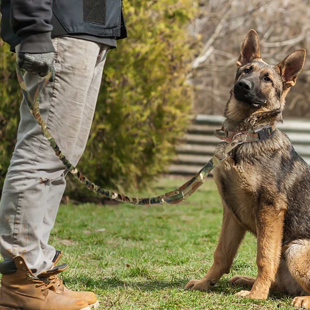 RoamReady Tactical Dog Collar