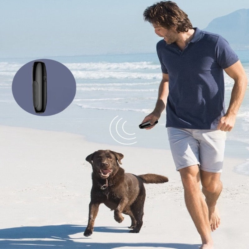 No Dog Noise Device