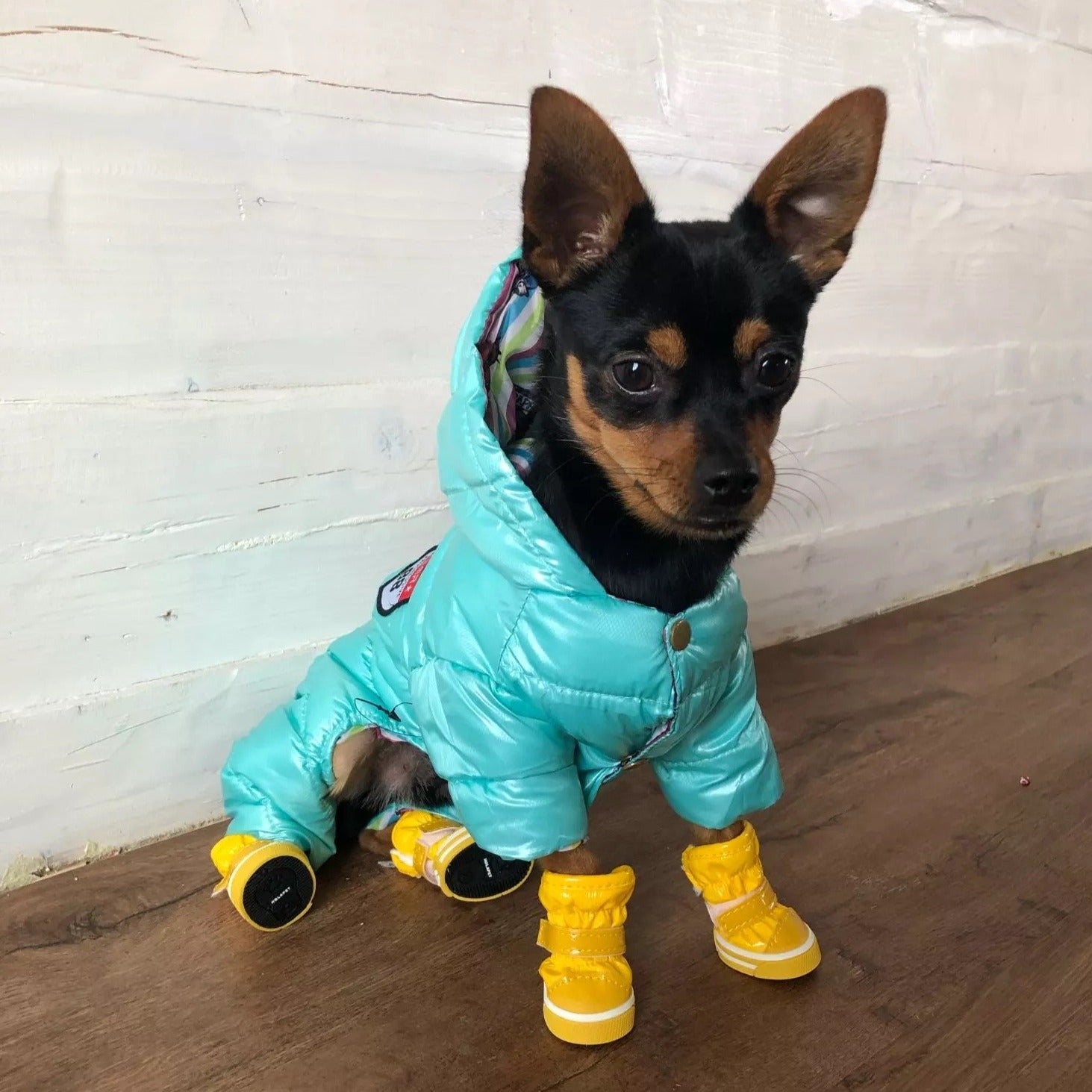 4pcs Waterproof Dog Cat Shoes