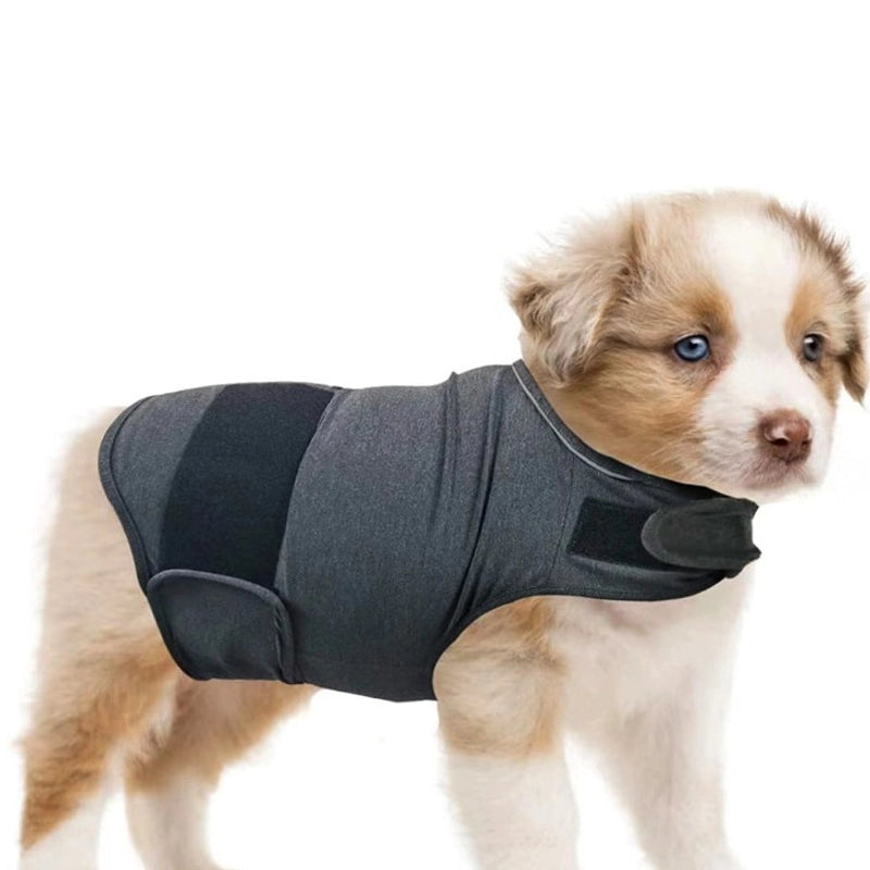 Casual Brocade Cotton Ponte-De-Roma Solid Color Pet Clothing