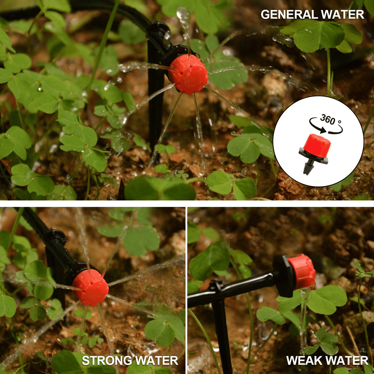 🔥Last Day Promotion - 49% OFF🔥Fog Cooled Automatic Irrigation System