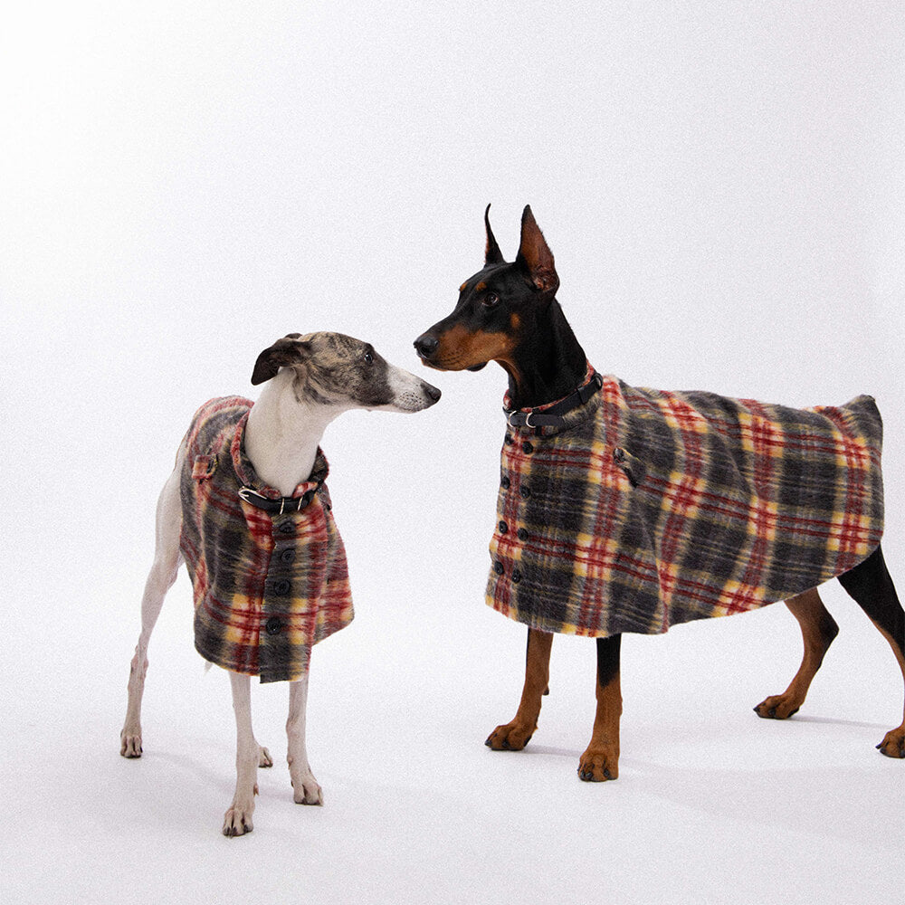 Vintage Plaid Wool With Refined Leather Collar & Button Dog Cape