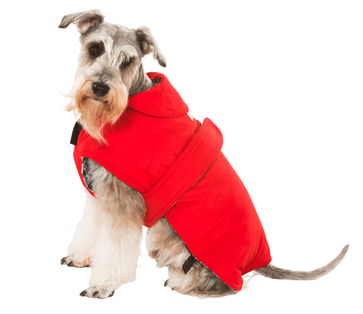 All-Weather Dog Coats