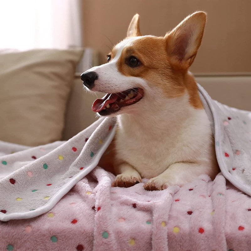 1 Pack 3 Blankets Super Soft Fluffy Premium Fleece Pet Blanket