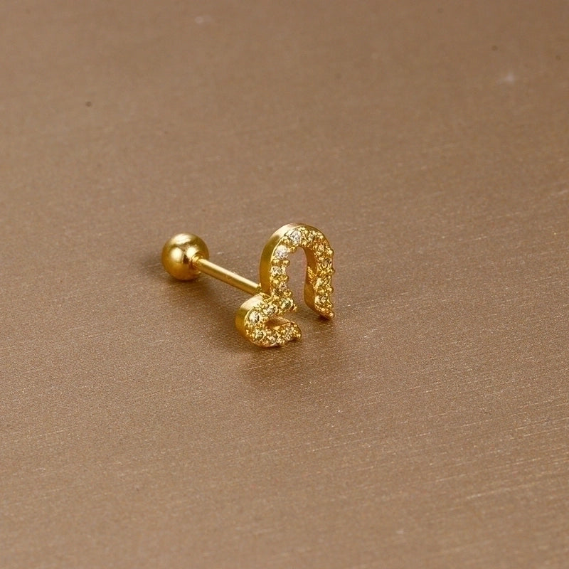 1 Piece Sweet Minimalist Flower Plating Inlay Titanium Steel Zircon Ear Studs