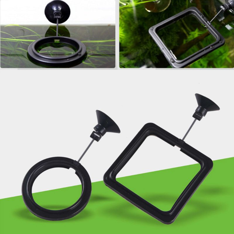 Aquarium Fish Feeding Ring