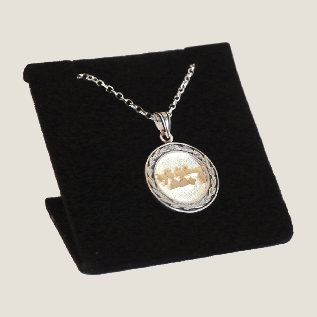 Hineni Disk Pendant Necklace | Silver And Gold