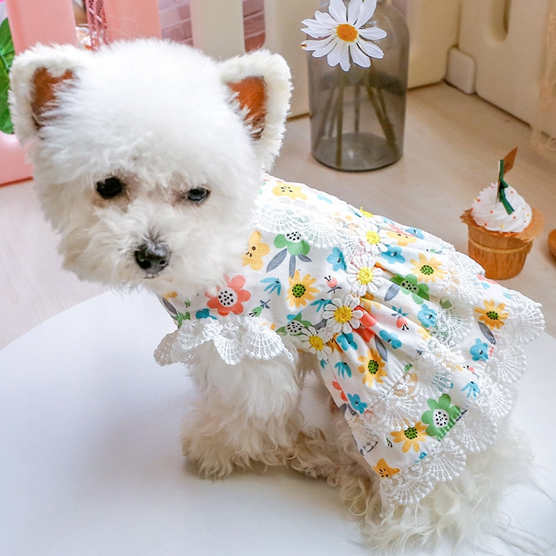 Floral Lace Design Dog Cat Dress