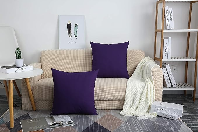 Plum-Cushion Covers Pack of Two