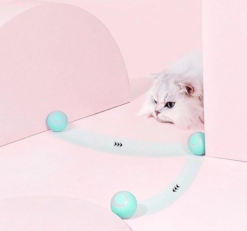 Classic Style Plastic Silica Gel Solid Color Pet Toys