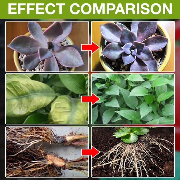 (Summer Hot Sale- 48% OFF)Plant Nutrient Solution