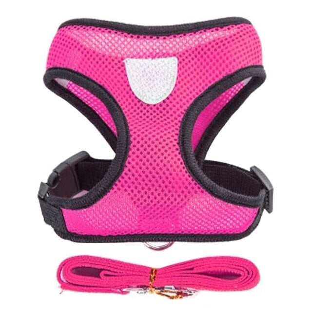 Adjustable Walking Lead Leash For Dogs
