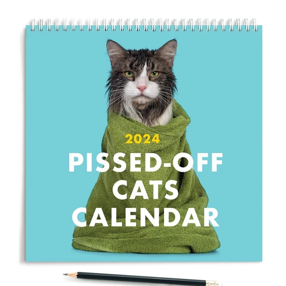 🎄Christmas Sale - 49% OFF😾2024 Pissed-Off Cats Calendar